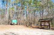 Soapstone 1